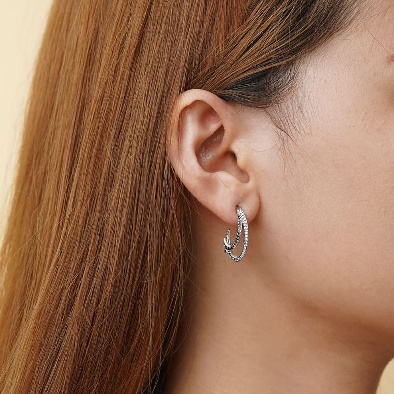 Double Hoop Earrings