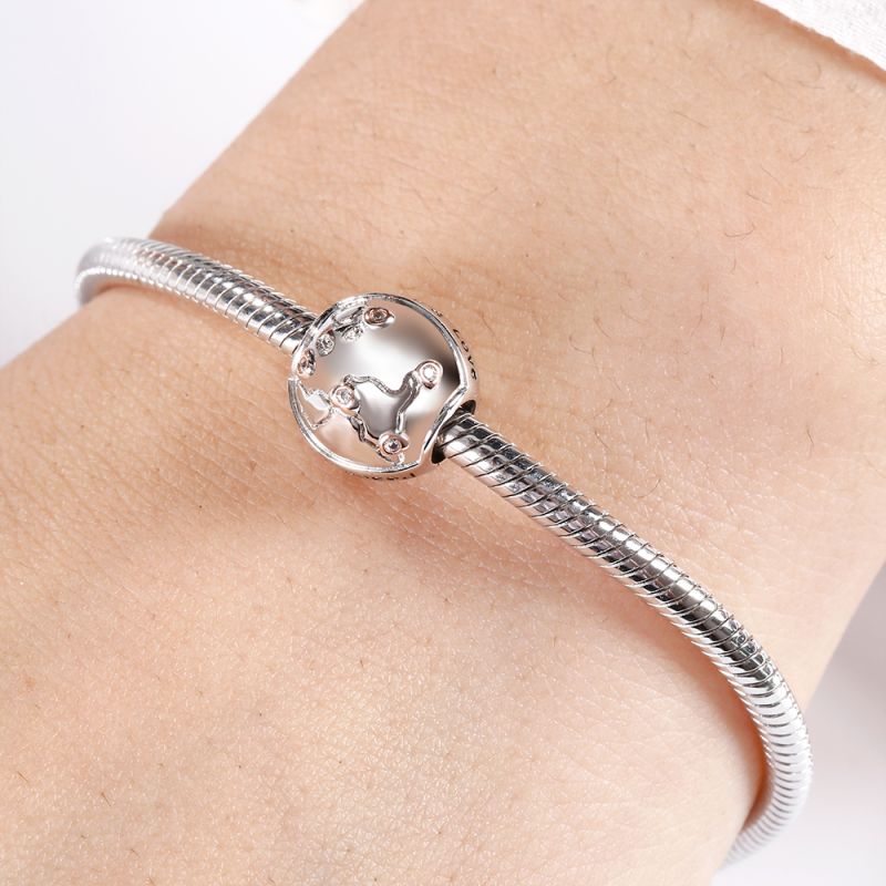 Earth World Map Charm